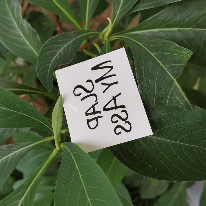 Slap My Ass - Temporary Tattoo (10 Pieces)